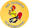 https://img.zkfet.com/img/football/team/63b0933cc303927659846a4ed54b1522.png